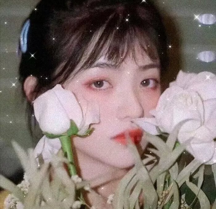 痞子殿下粤语